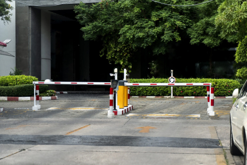 ��Ա����������